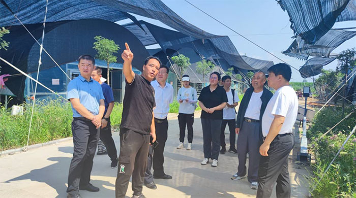 西農(nóng)學(xué)子三下鄉(xiāng)：深入西同鞮，探索振興路