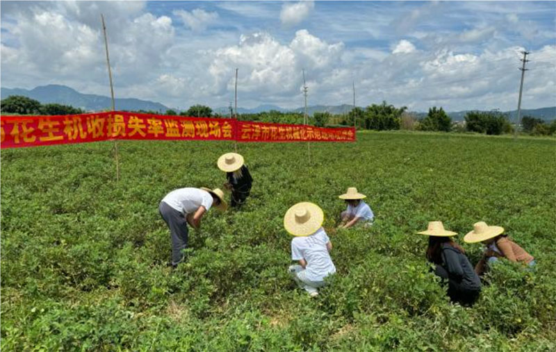 廣東羅定：大學(xué)生暑期實踐團(tuán)，齊心獻(xiàn)力鄉(xiāng)村振興建設(shè)
