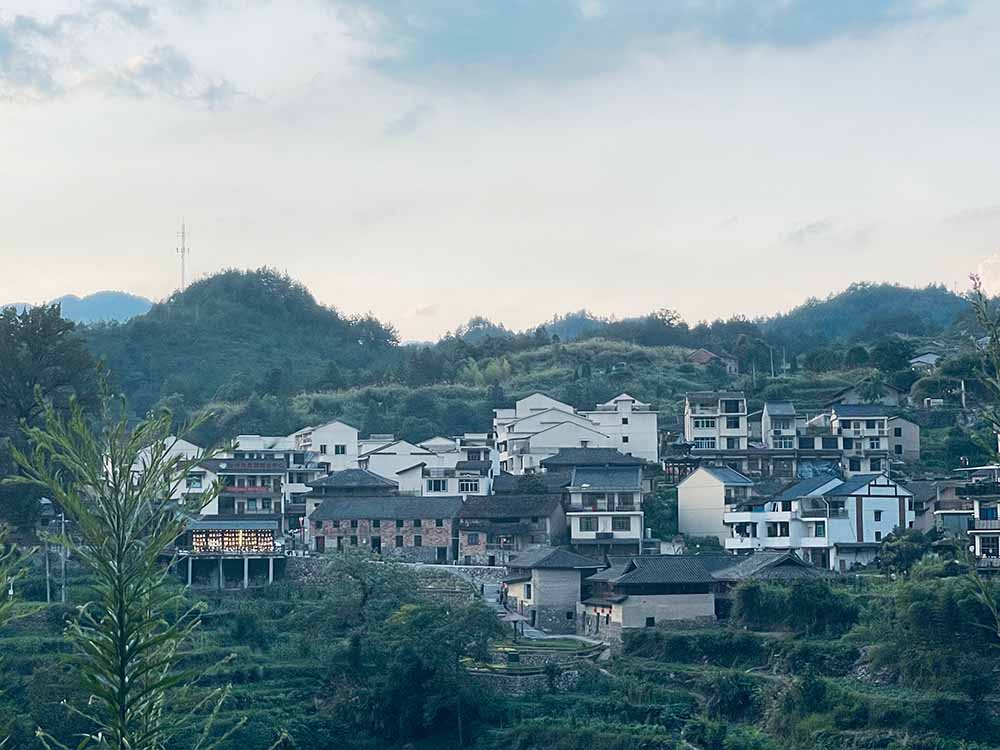 暑期社會實(shí)踐·大學(xué)生助力鄉(xiāng)村米酒，把酒賣到“云上”去