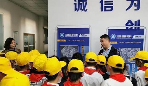 鄭州市上街區(qū)丹江路小學(xué)春季社會實踐活動