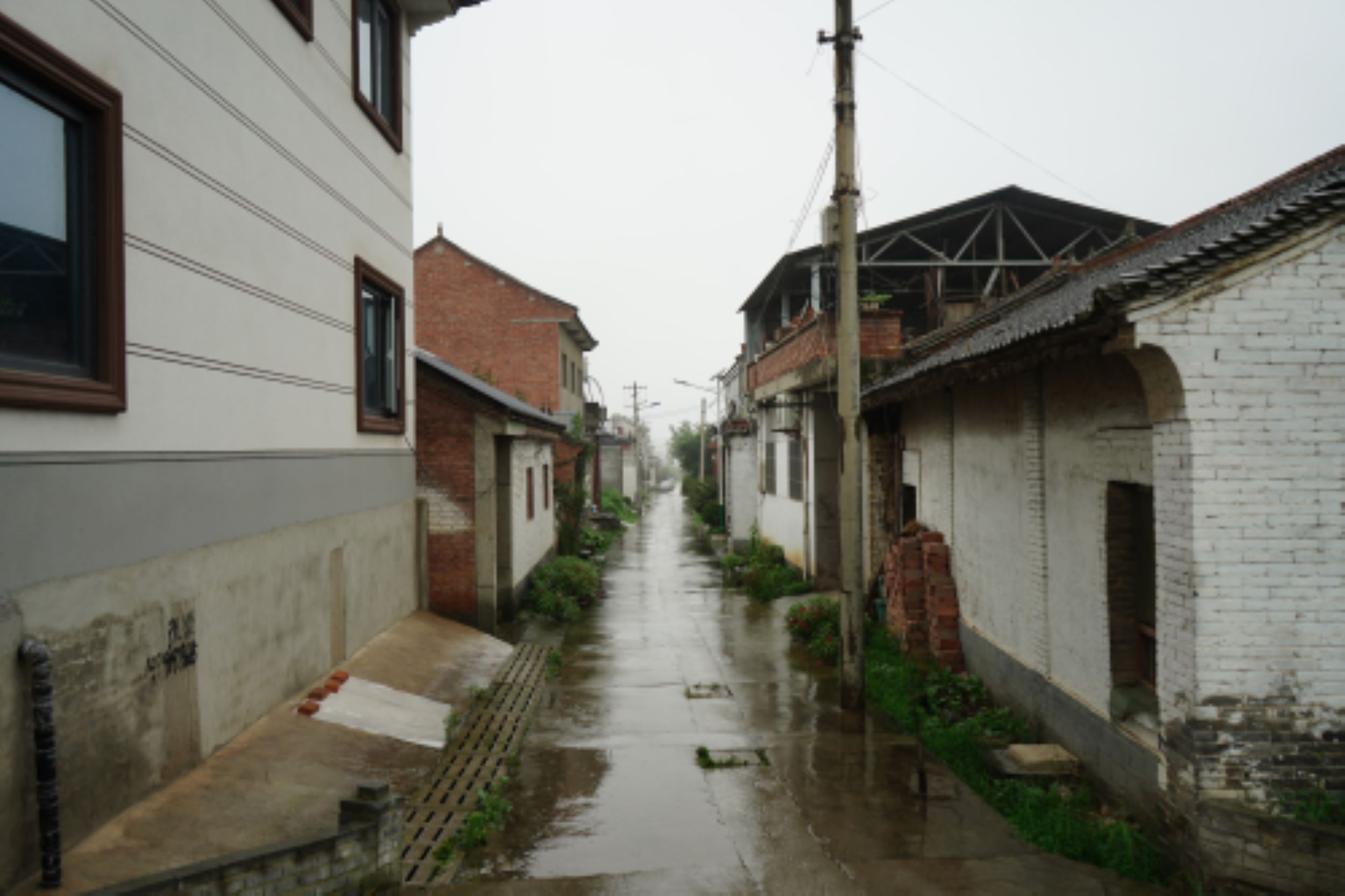 "胡劉村雨中尋紅色，長(zhǎng)安隊(duì)心間續(xù)薪火"