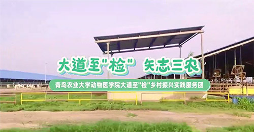 大道至簡(jiǎn)，三農(nóng)情牽：青島農(nóng)業(yè)大學(xué)動(dòng)物醫(yī)學(xué)院鄉(xiāng)村振興實(shí)踐服務(wù)團(tuán)走訪養(yǎng)殖天地