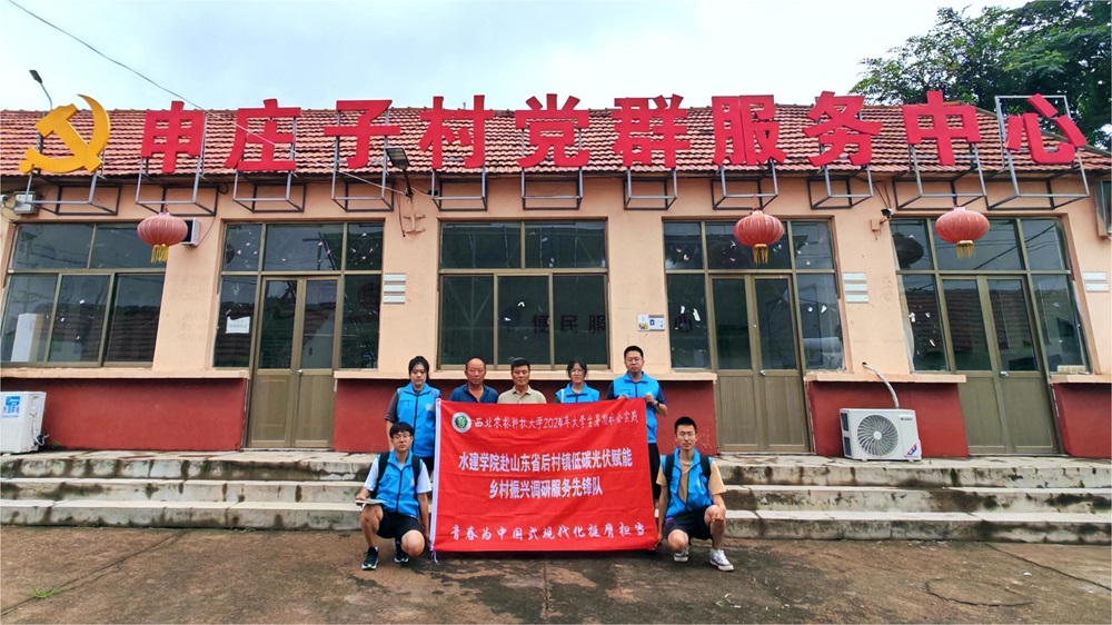 青春逐夢鄉(xiāng)村行，光伏照亮振興路