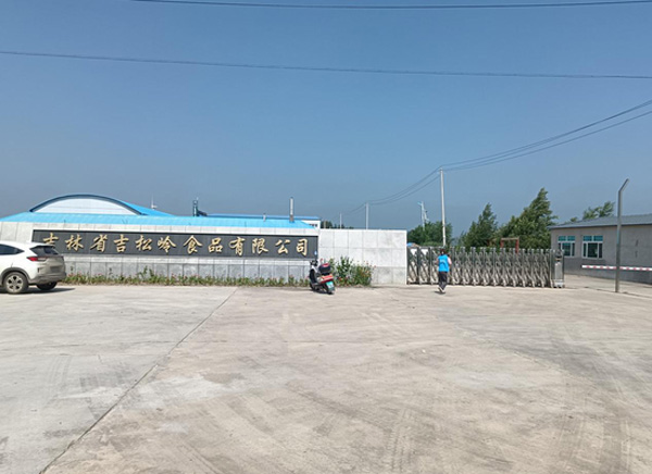 淮師學(xué)子三下鄉(xiāng)：聚焦城鎮(zhèn)發(fā)展，守望振興藍(lán)圖