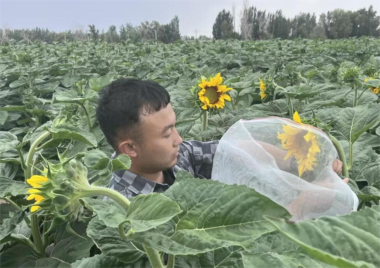 胡楊校友訪談—星光不負(fù)趕路人，時(shí)光厚愛追夢人