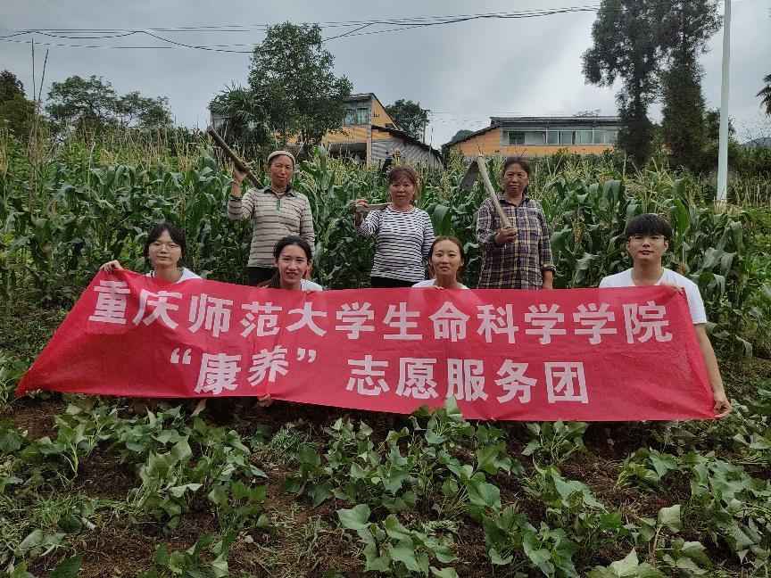 深入鄉(xiāng)村勞動(dòng)實(shí)踐，感受農(nóng)業(yè)勞動(dòng)魅力