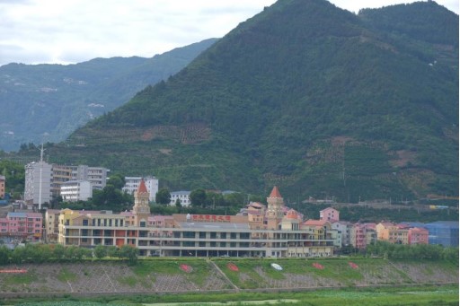 柑為人先，橙待天下