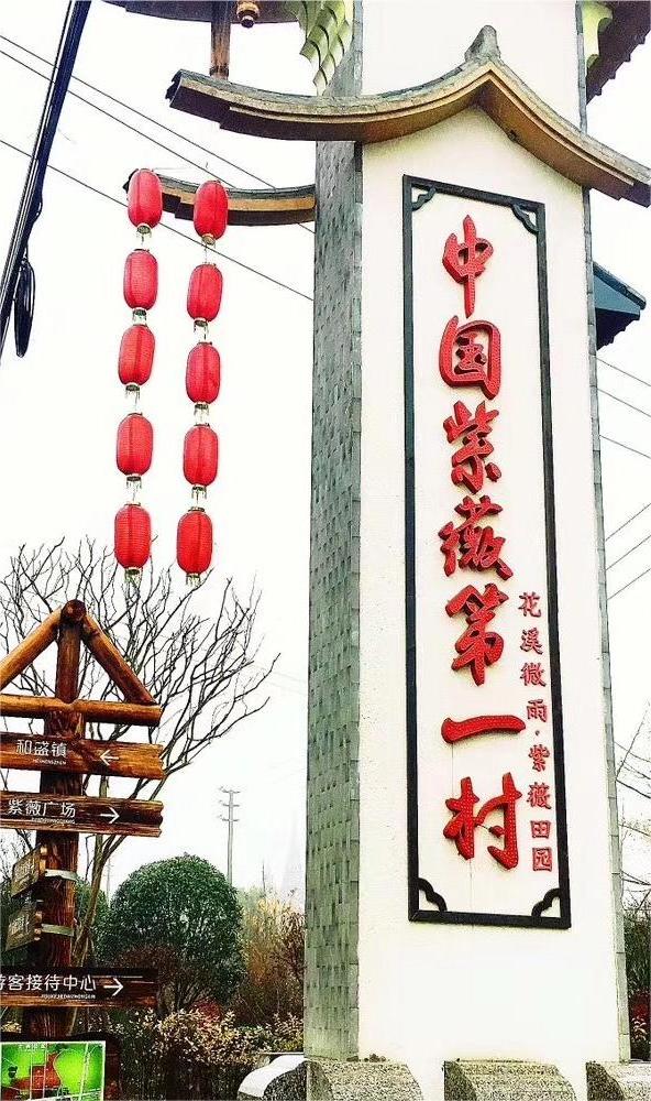 “新路”、“興路”、“心路”——以陳家渡村為例探討