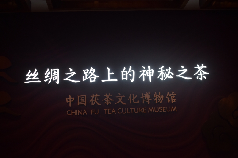 尋根茯茶古韻 助力鄉(xiāng)村新夢(mèng)——陜工學(xué)子暑期三下鄉(xiāng)