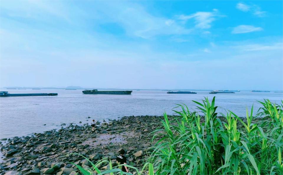 探廣陵運(yùn)河， 護(hù)綠水之美