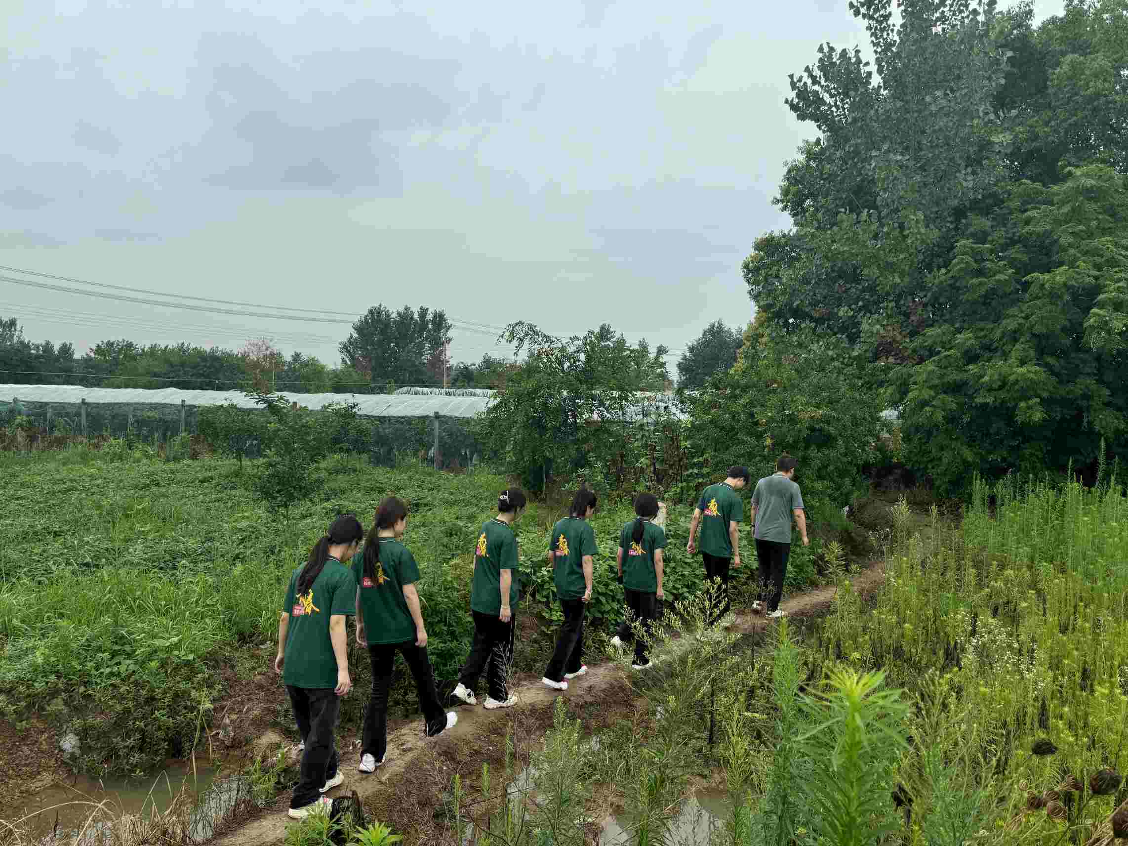 《巢湖學院：大棚薄膜改革調研推廣，助力鄉(xiāng)村農業(yè)發(fā)展》
