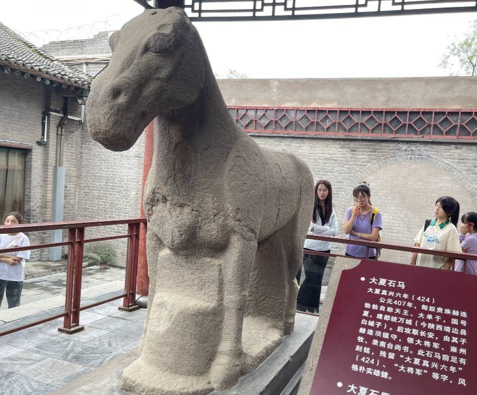 西農(nóng)學(xué)子三下鄉(xiāng)|尋脈中華傳統(tǒng)，助力文化傳承