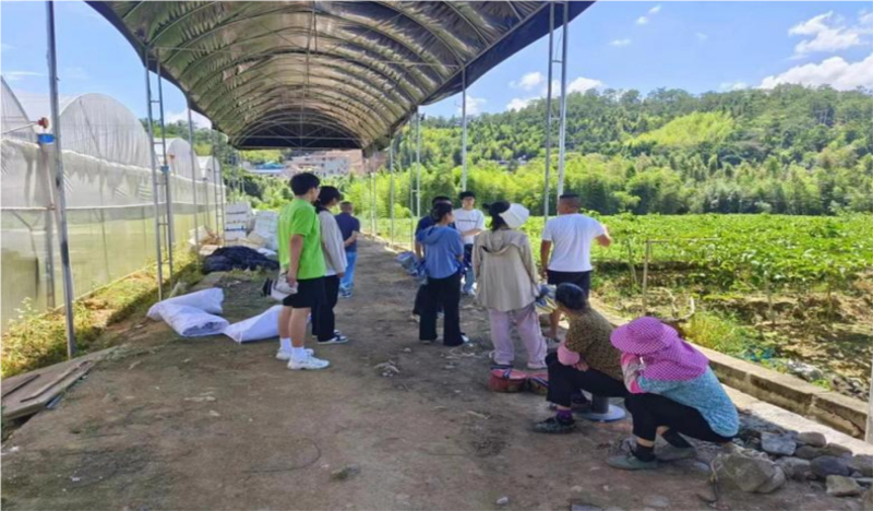 情系百香果，共筑夢(mèng)想園