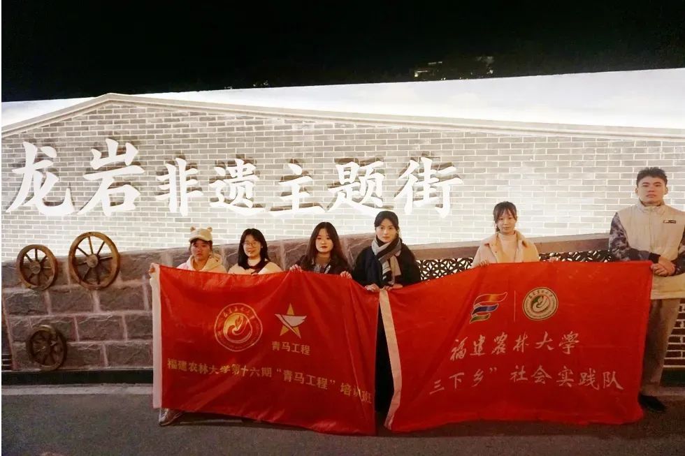 龍巖非遺文化展春節(jié)啟幕，青年學(xué)子助力文化傳承