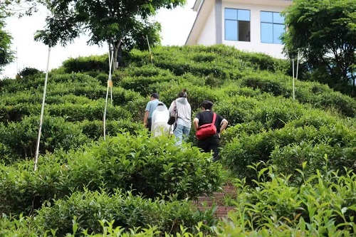 湘大學(xué)子：凝聚助農(nóng)力量，踐行擔(dān)當(dāng)精神
