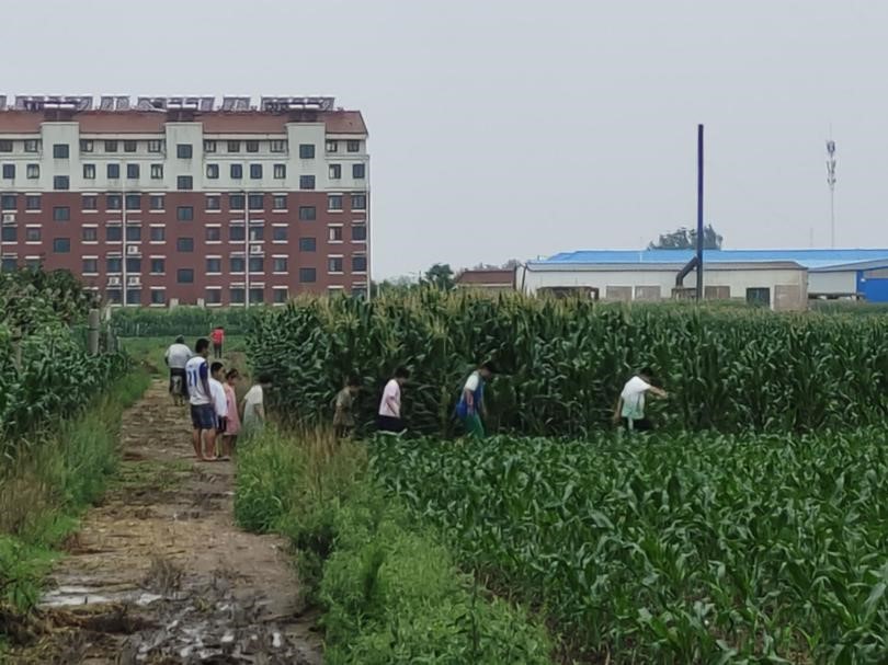 曲園學(xué)子三下鄉(xiāng)：深入基層社區(qū)，調(diào)研社區(qū)消防