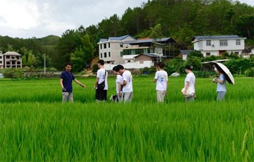 集美大學(xué)“傾潭振汀”實(shí)踐隊(duì)赴長(zhǎng)汀紅色舊址群參觀學(xué)習(xí)、南坑村實(shí)地調(diào)研