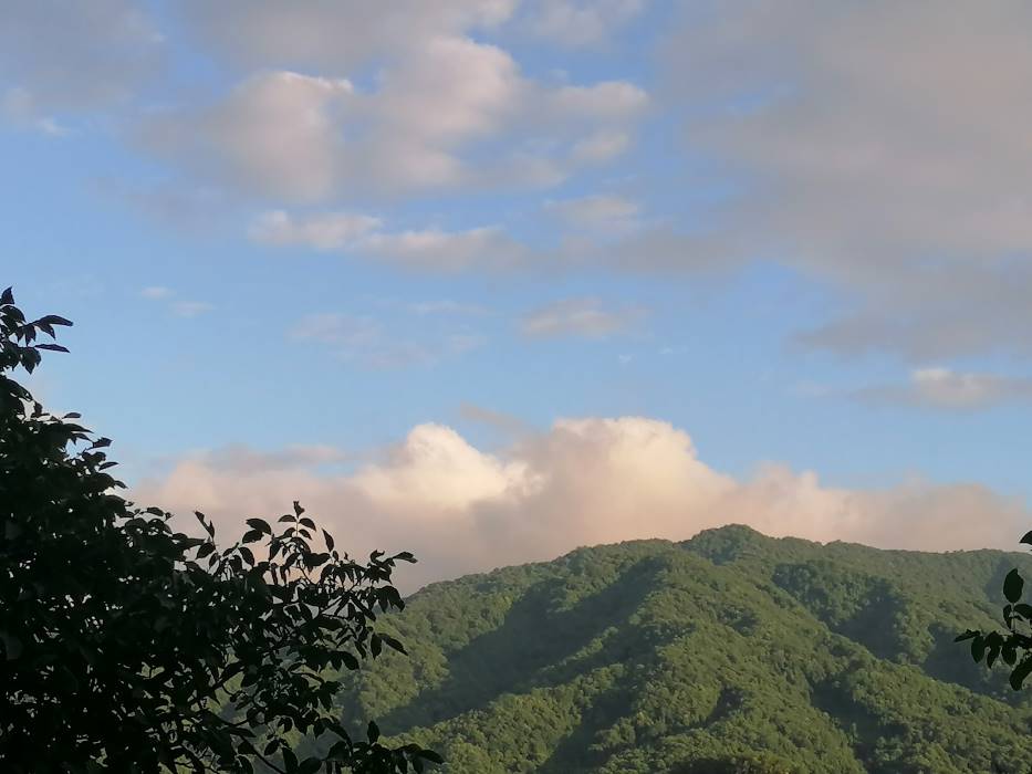 穿梭千年，文物“活”在當(dāng)下 ——蘇州大學(xué)“哲學(xué)+”實踐團(tuán)走進(jìn)天水市仙人崖石窟