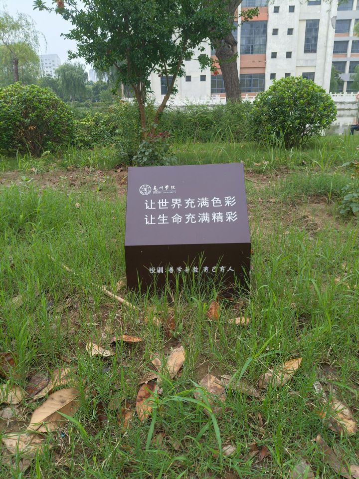 巢湖學(xué)院學(xué)子三下鄉(xiāng)實(shí)踐感悟：走不通的路，就用拳頭來(lái)打開