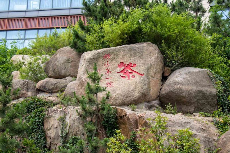 從低碳視角出發(fā)，探討鄉(xiāng)村綠色轉(zhuǎn)型之路-致遠(yuǎn)實踐隊心得體會