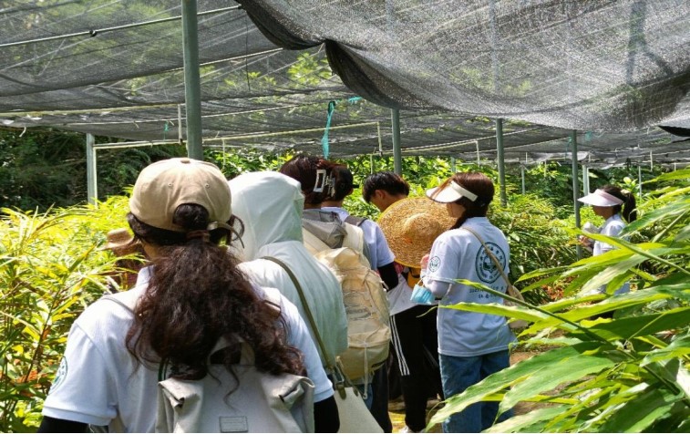 青年腳踏借鑒路，陽春砂仁香滿懷