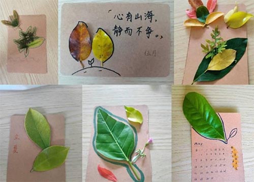 團(tuán)立項(xiàng)系列活動之“一花一葉道盡情意”