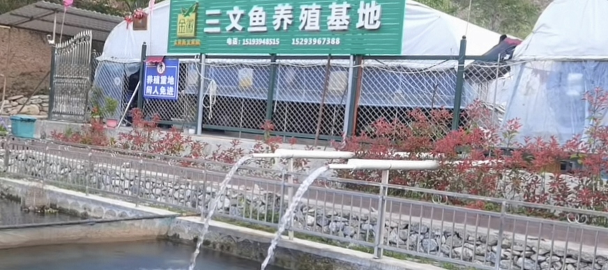塑造甘南“特色品牌”，擴(kuò)寬群眾增收大道。