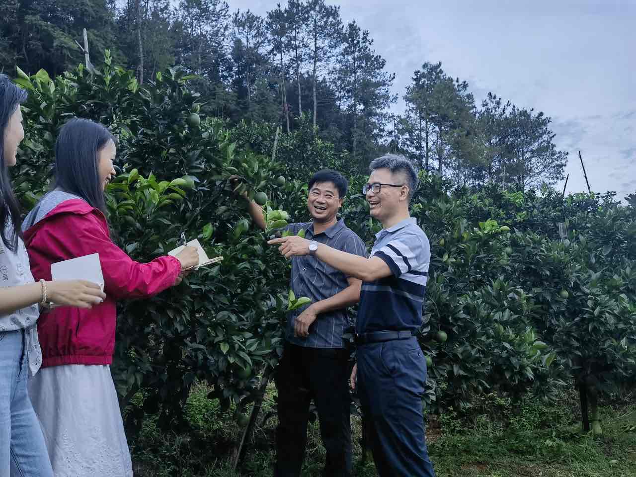 扶貧振興繪“南”圖，詩和遠方伴“橙”香